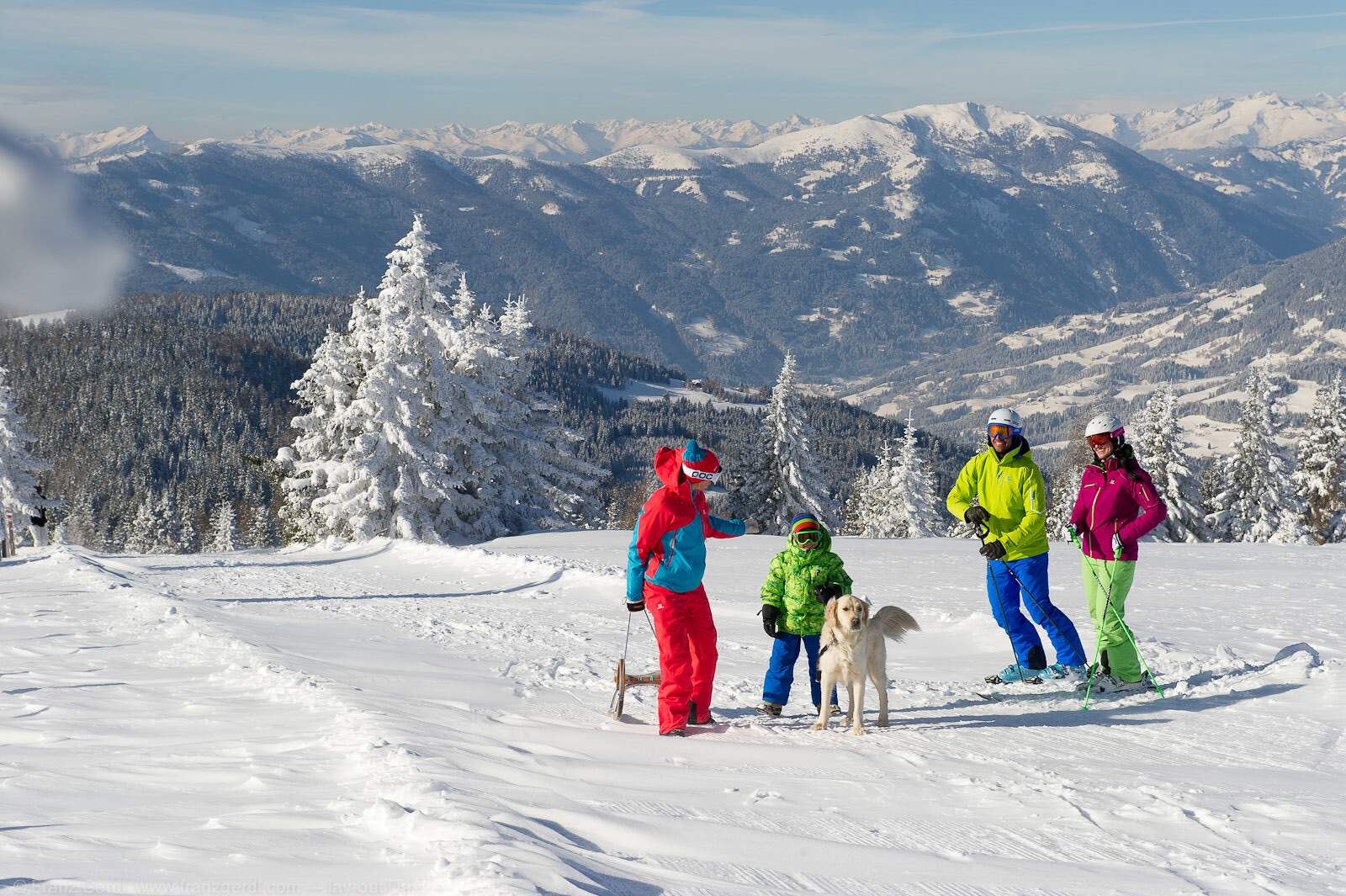 A family of four and their dog out on a sunny snow plateau above the valley